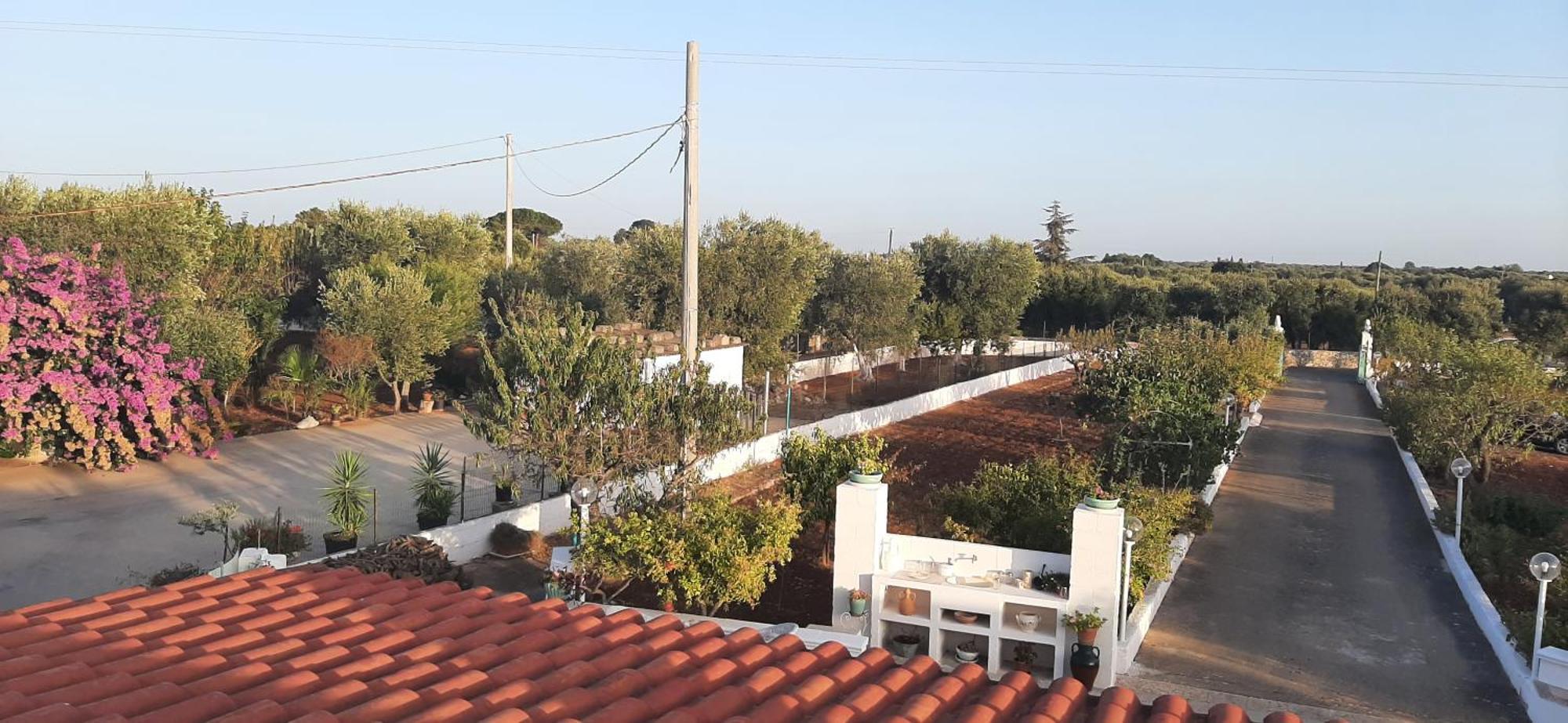 Villa Mina Ostuni Exterior photo
